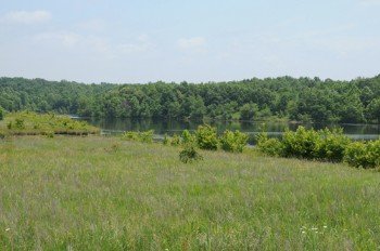 Property photo 25 - 1,025 Acres in 24 Tracts - Exellent Recreation Opportunity - Potential Building Sites - 11 Lakes & Ponds